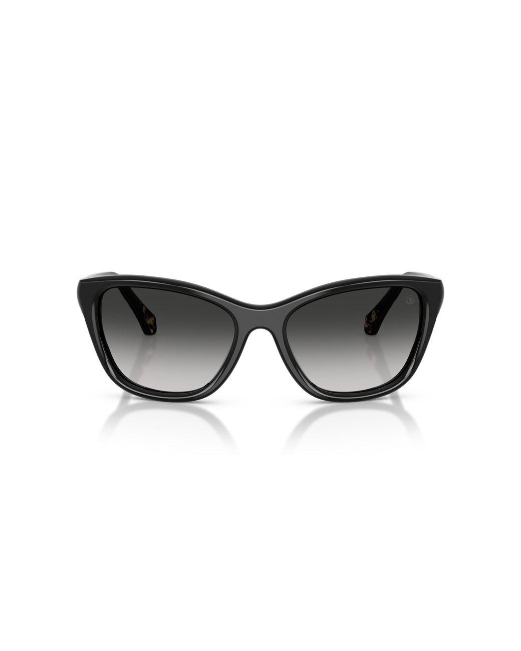 Moncler Black Me6031U 30013C Sunglasses Acetate Butterfly Normal Nuanced