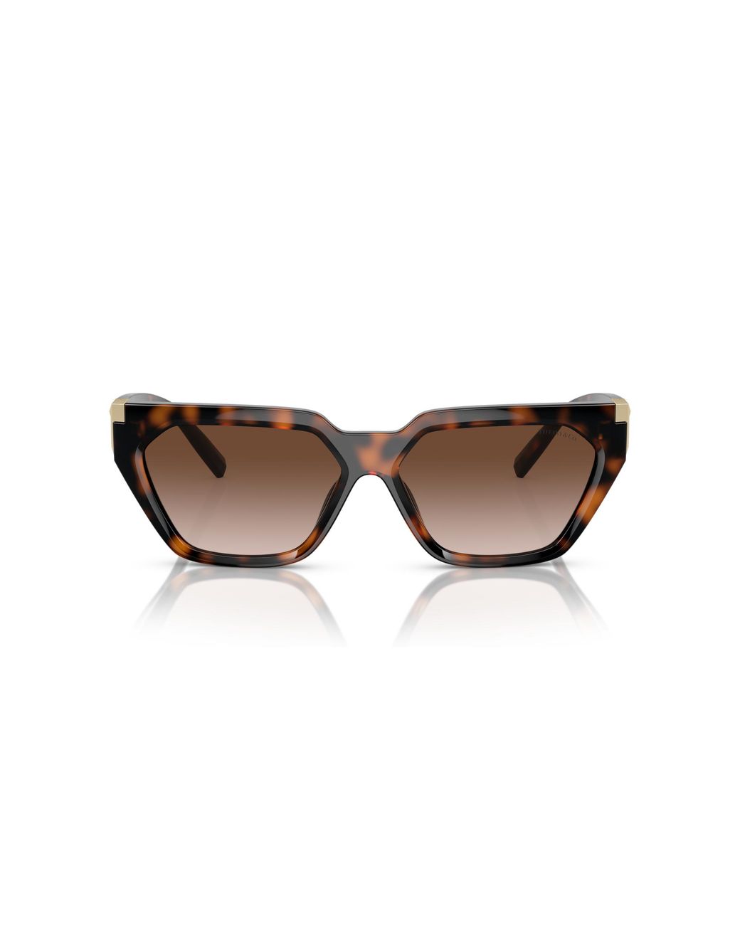 Tiffany & Co Black Tf4205U 80153B Sunglasses Injected Geometric Normal Shaded