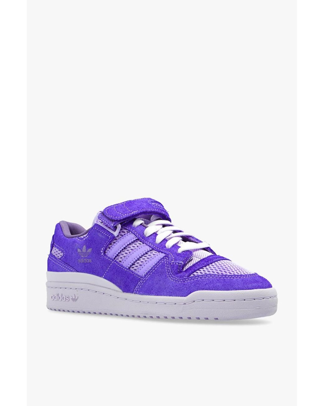 adidas forum lo purper