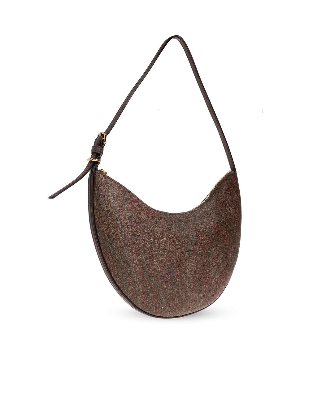 Etro Brown Hobo Bag