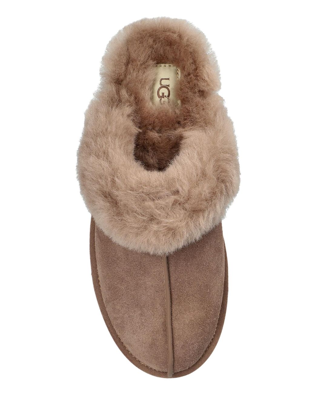 Ugg Blue Suede Slides 'Scuffette Ii'