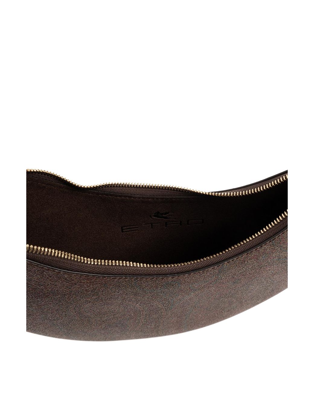 Etro Brown Hobo Bag