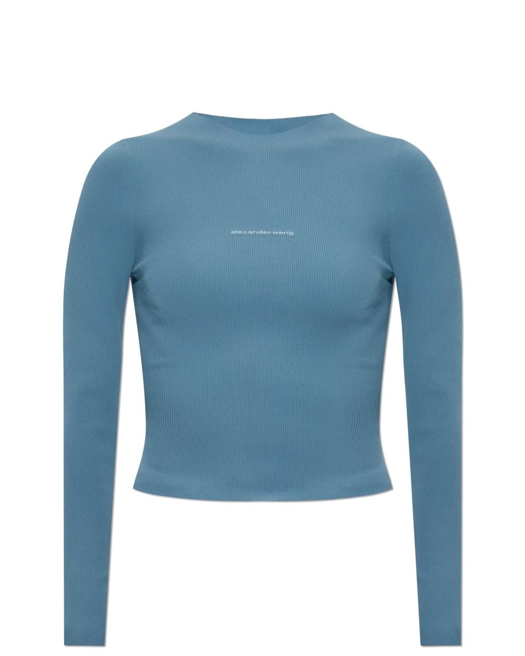 Alexander Wang Blue Fitted Top