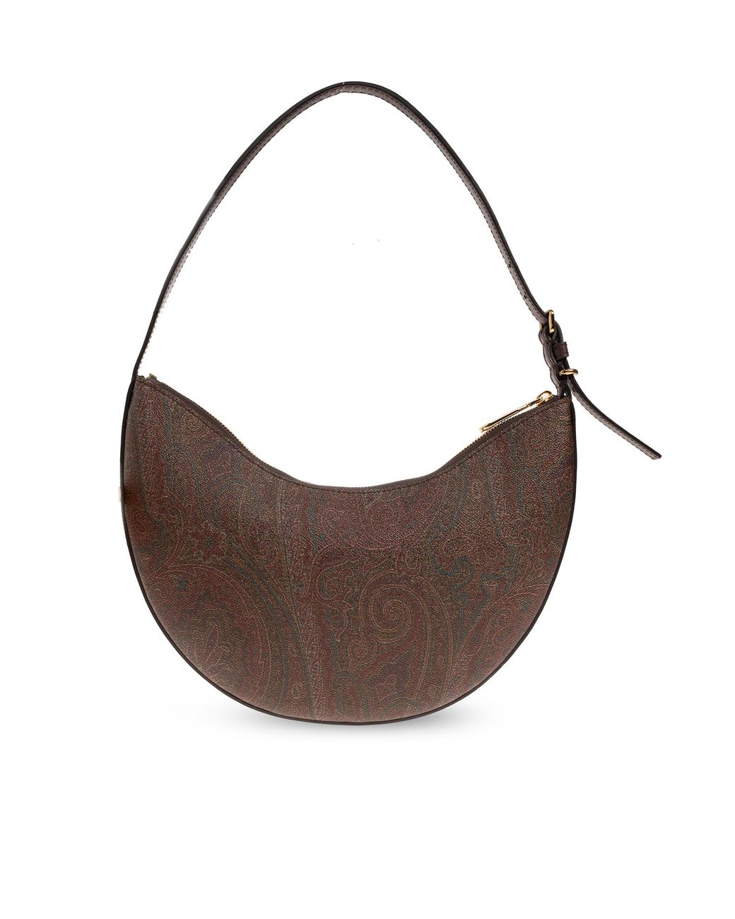 Etro Brown Hobo Bag