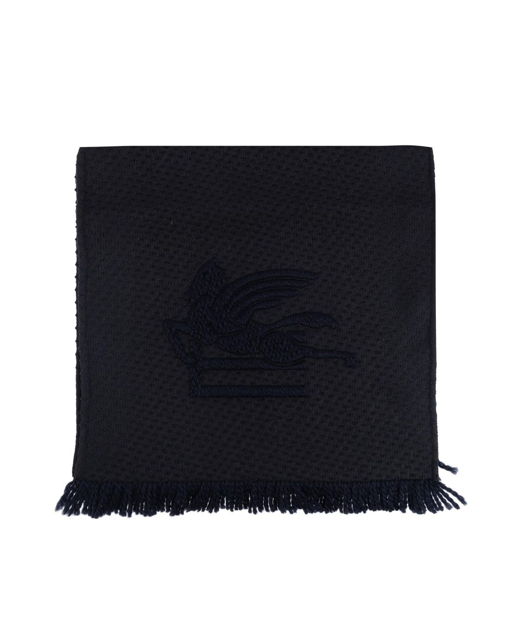 Etro Blue Scarf With Logo