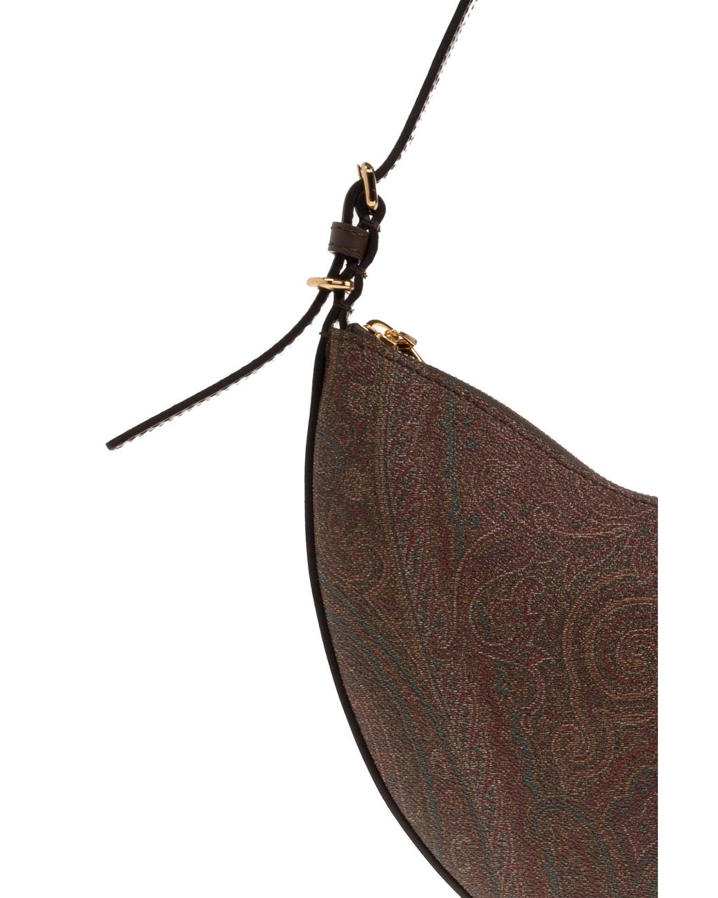 Etro Brown Hobo Bag