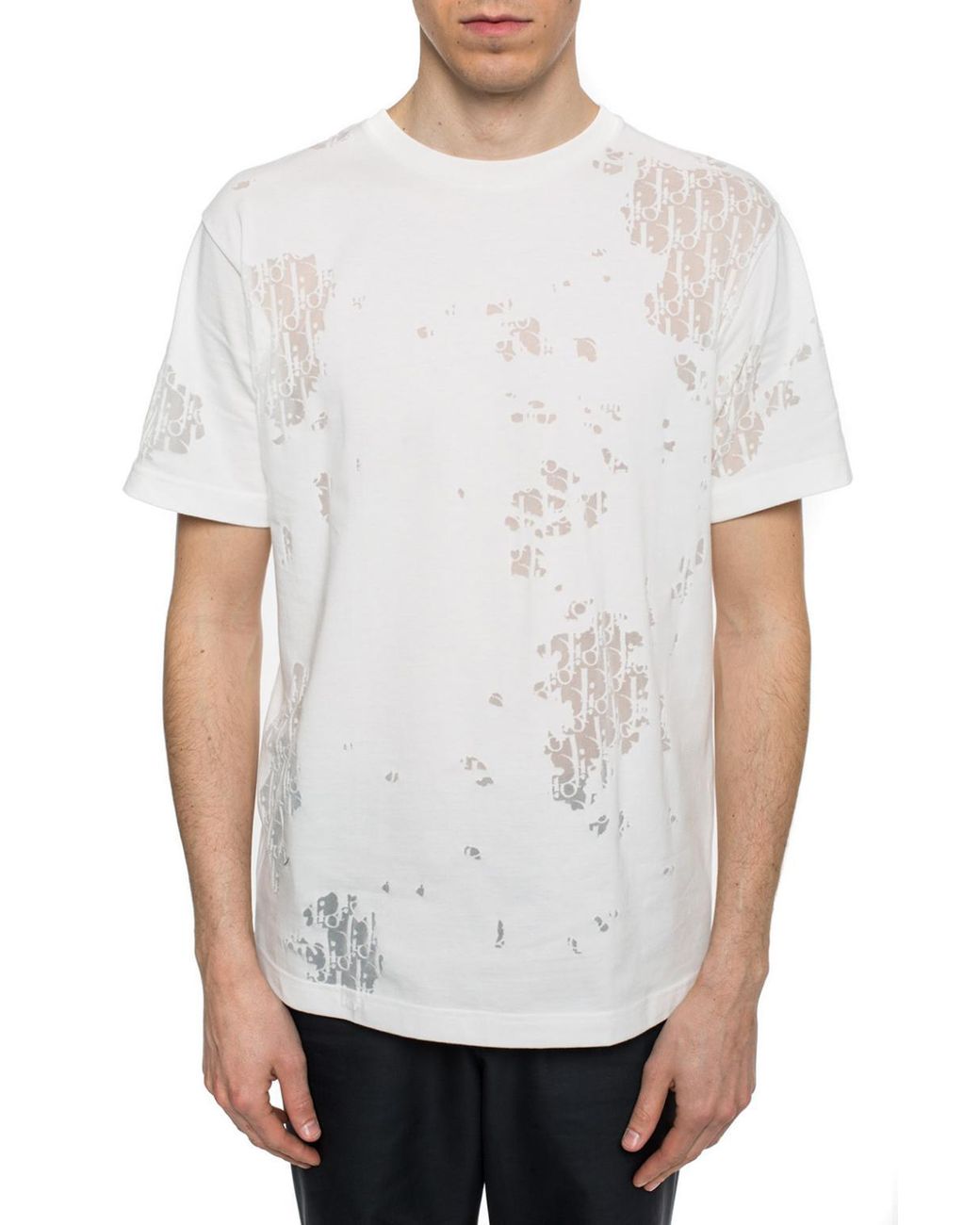 ナチュラルモダン♡【DiorDioriviera Tシャツ dr-2205-