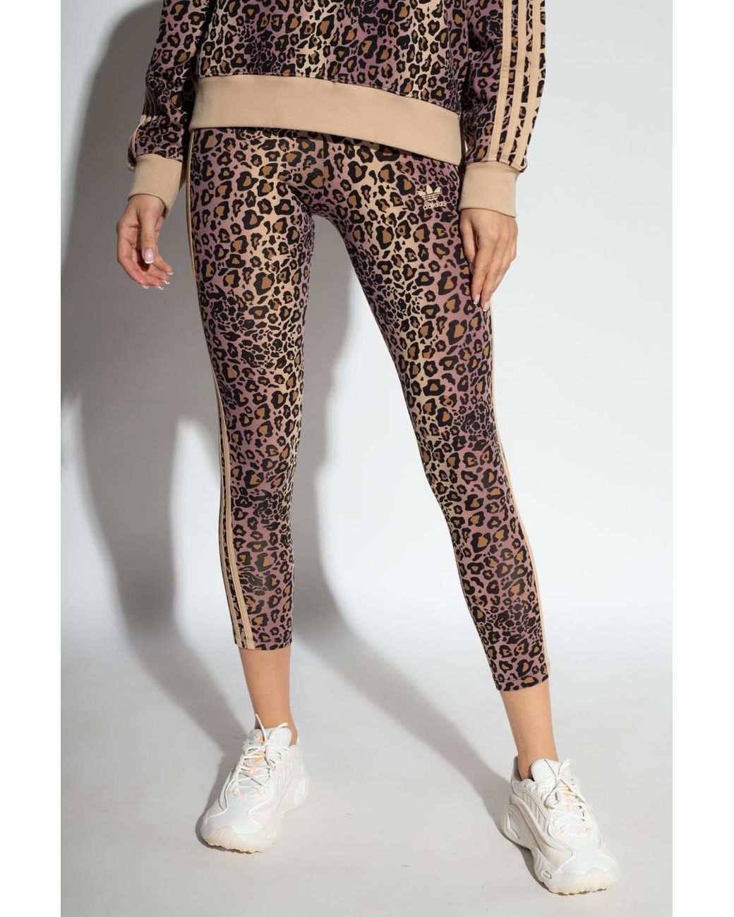 adidas Originals Plus all over leopard print leggings in brown