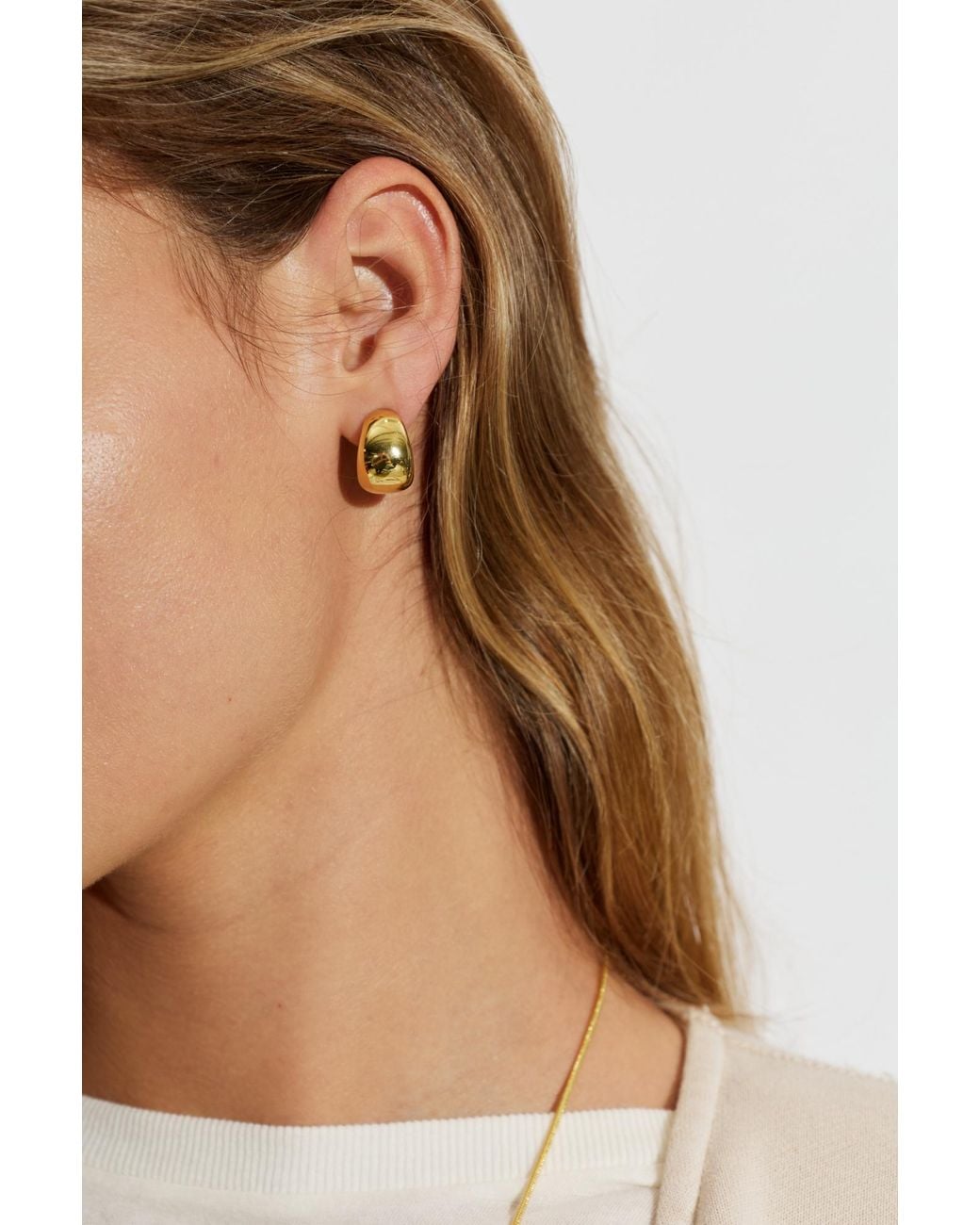 LIE STUDIO Brown Earrings