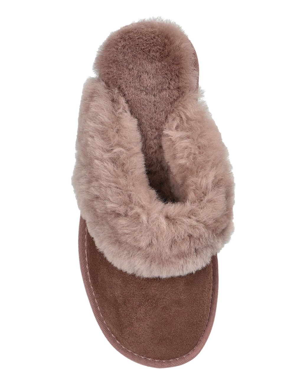 EMU Brown Suede Slides 'Jolie'