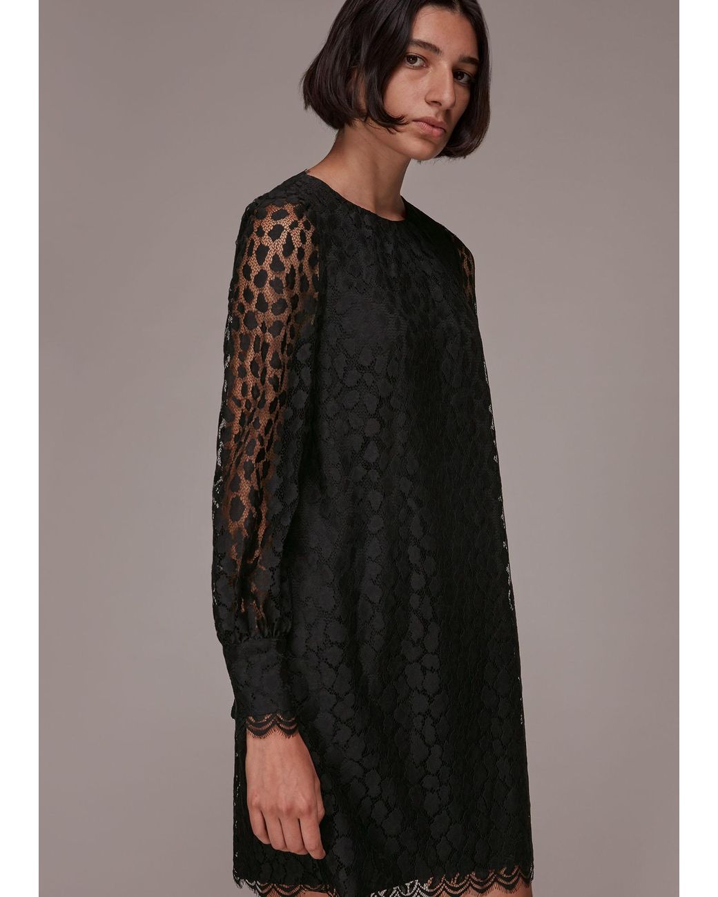 Whistles Brown Animal Lace Tie Detail Dress