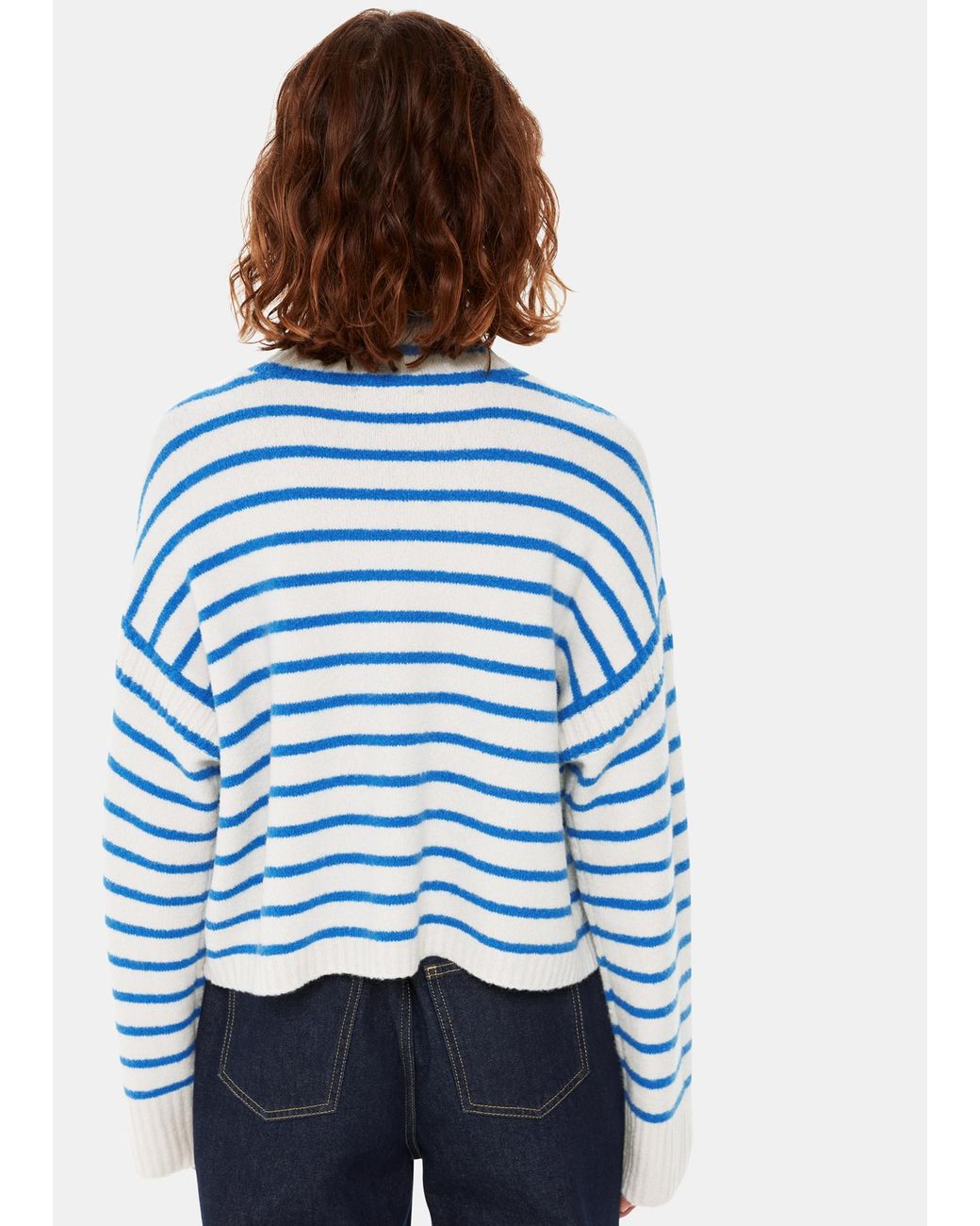 Whistles Blue Stripe Rib Detail Funnel Knit