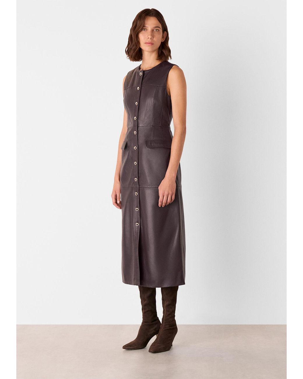 whistles brown dress POSTER GIRL