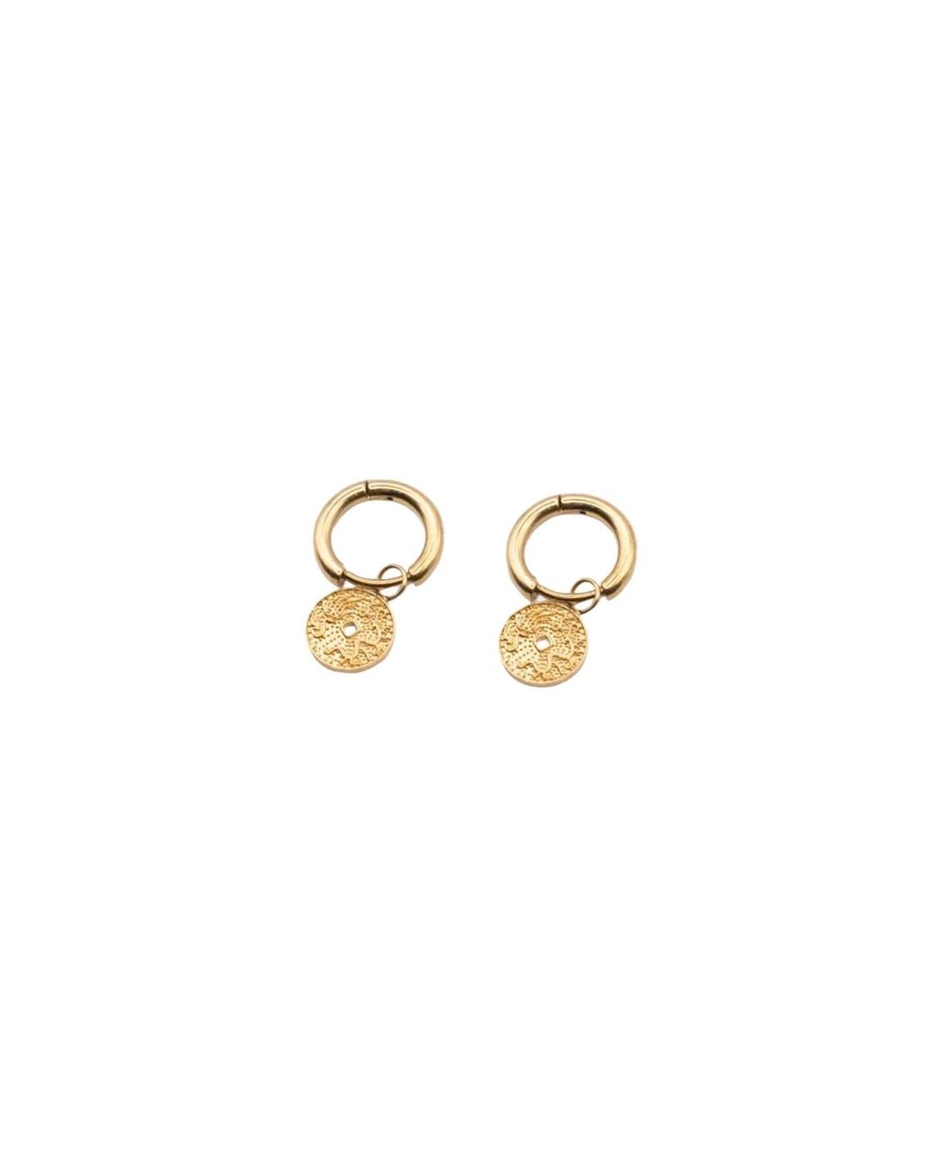 Isolated Jewellery Metallic Roma Earrings