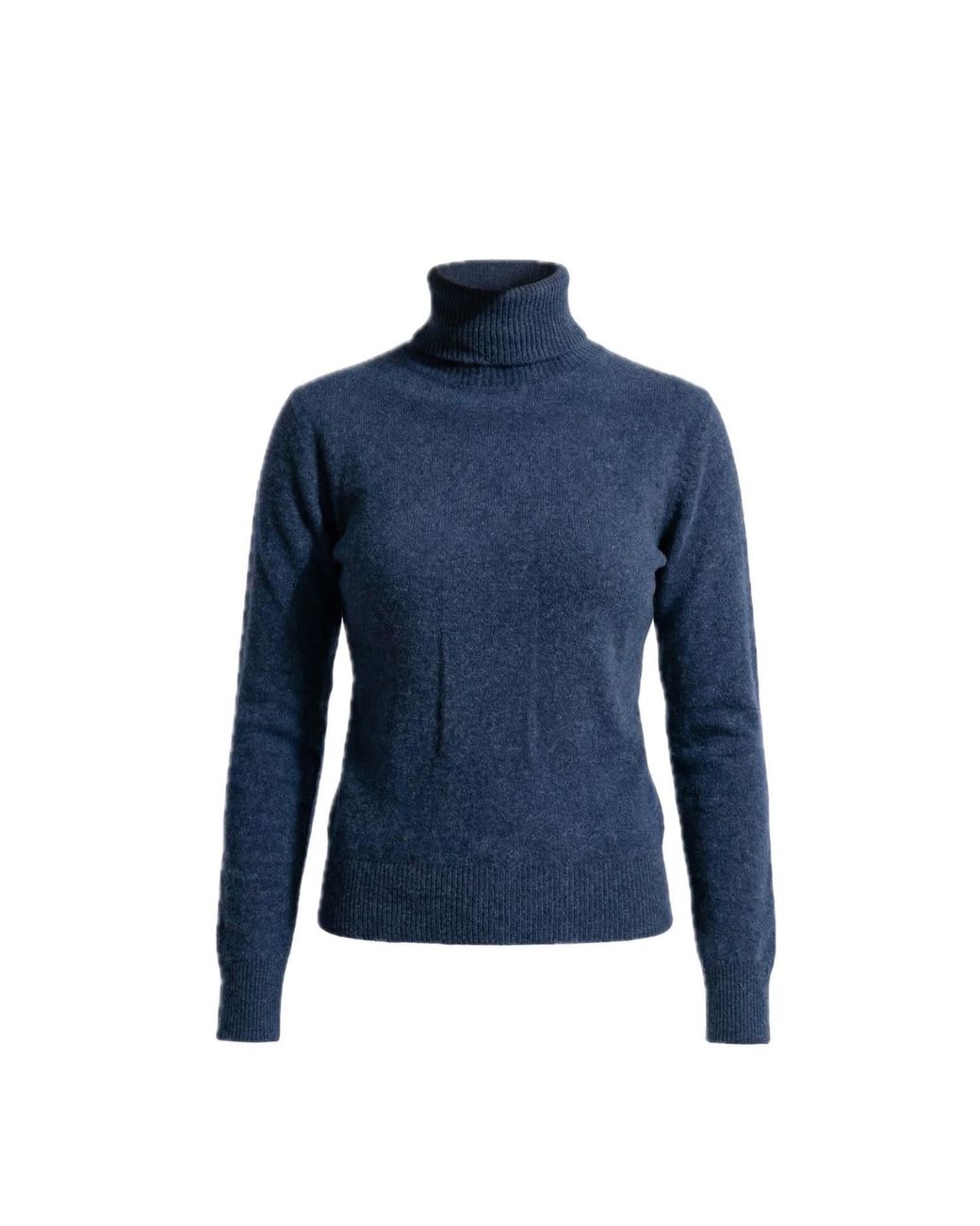 Reet Aus Blue Seamless Turtleneck Sweater