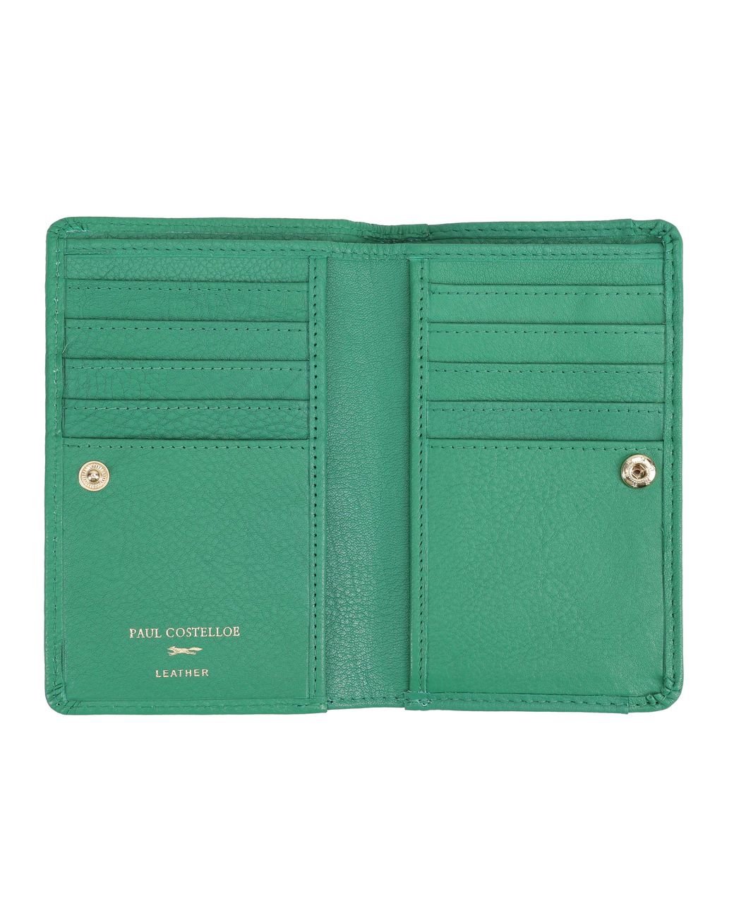 Paul Costelloe Green Solidago Leather Purse