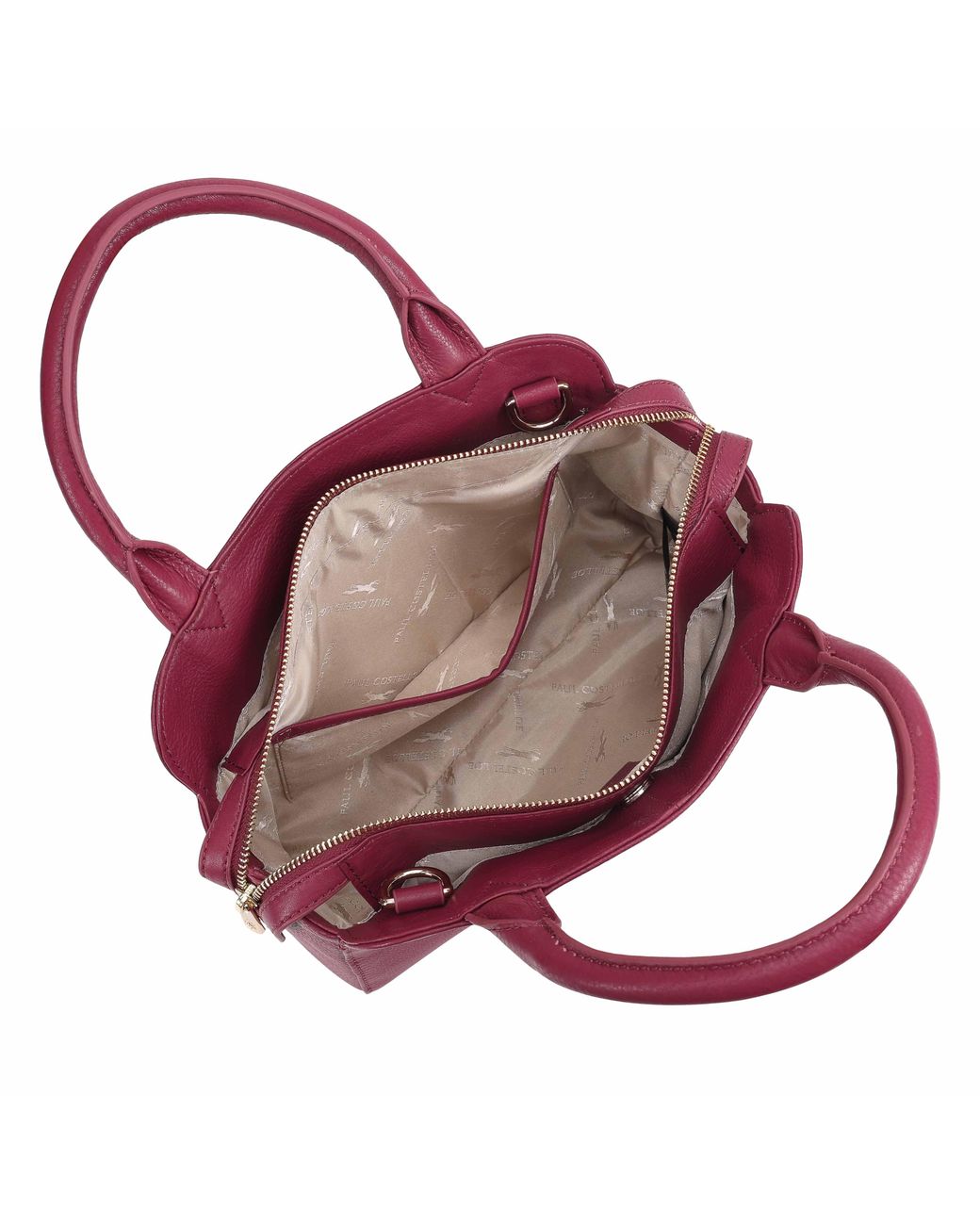 Paul Costelloe Purple Giselle Leather Crossbody Bag