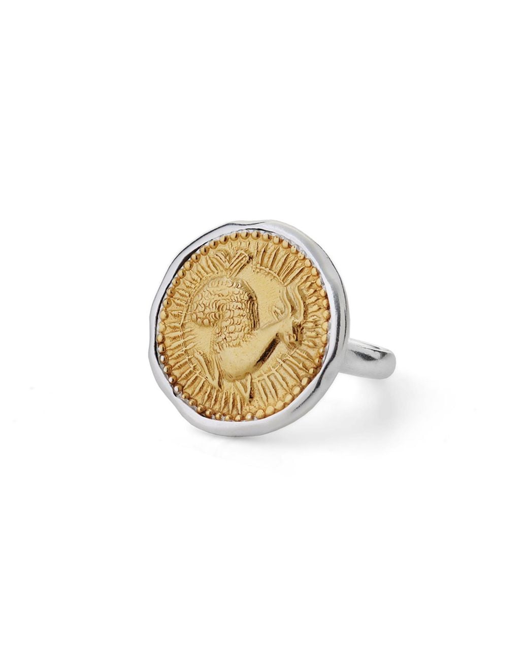 Goddess Charms Metallic Capricorn Zodiac Ring