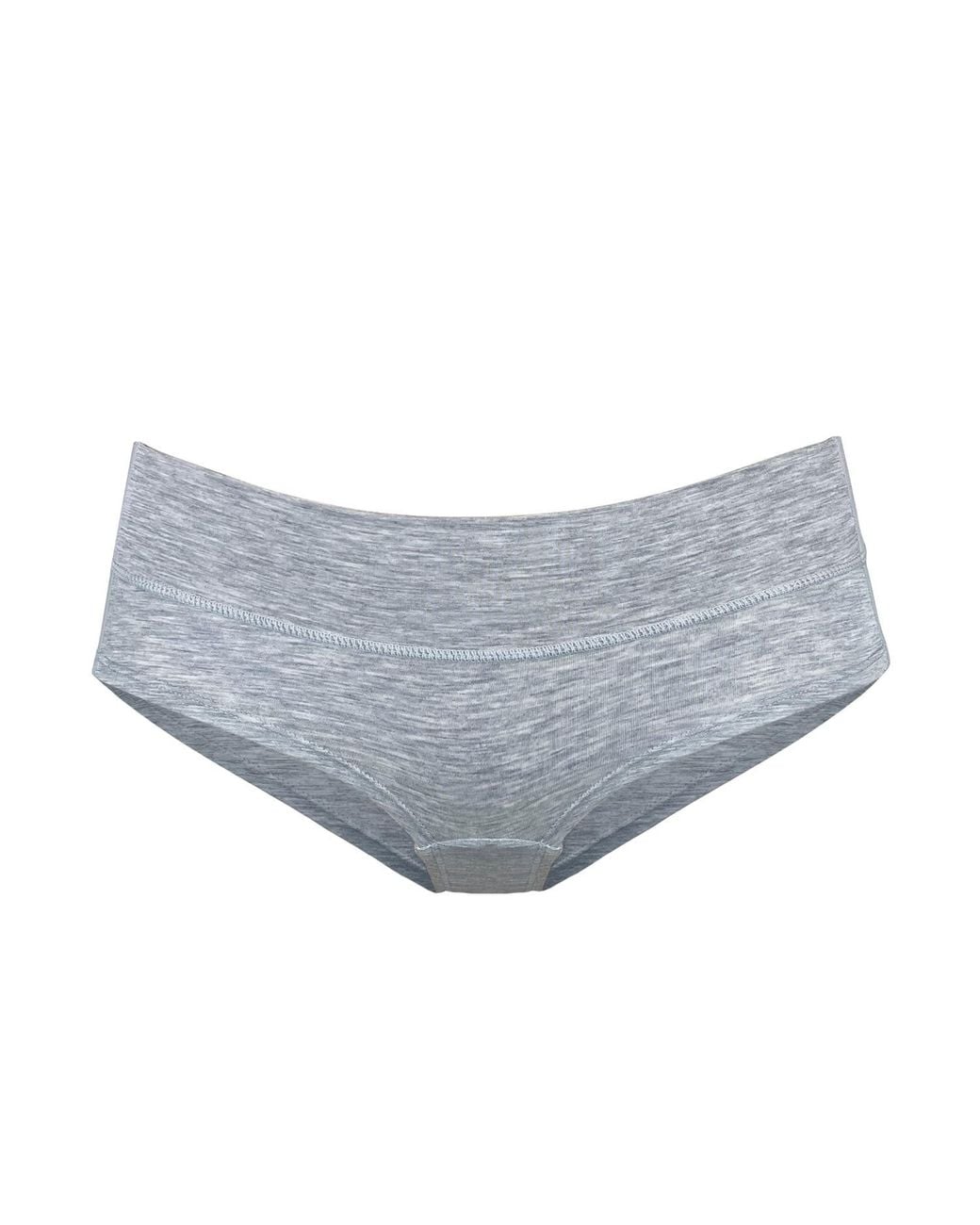 MONIQUE MORIN LINGERIE Gray Core Low Rise Hipster Fog