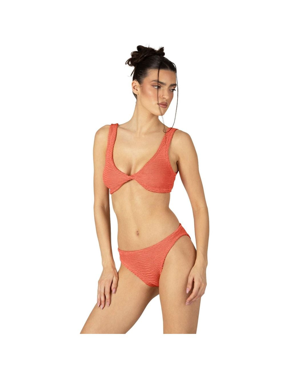 Paramidonna Orange Donika