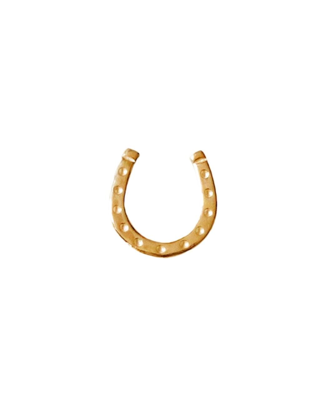 Lee Renee Metallic Lucky Horseshoe Lapel Pin – for men