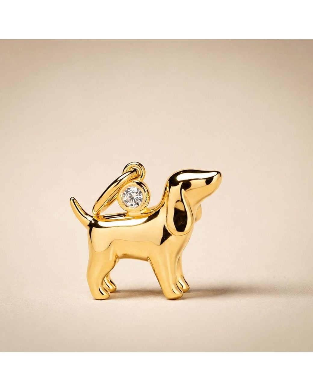 Belinda Jewelz Metallic Gemstone Dog Charm