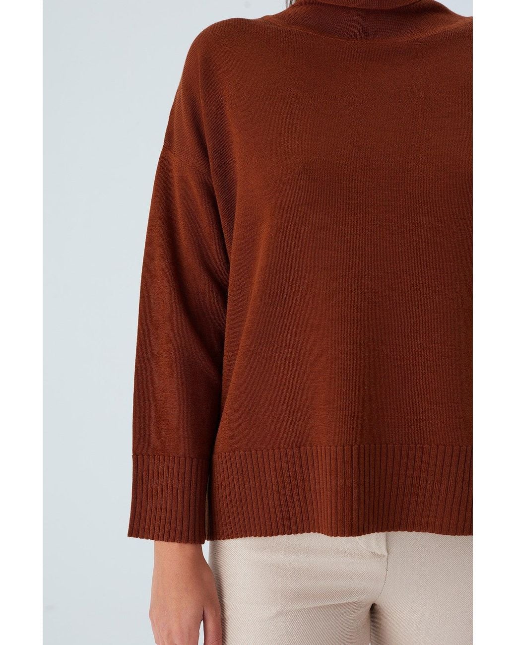 Peraluna Brown Wide Roll Neck Knitwear Pullover