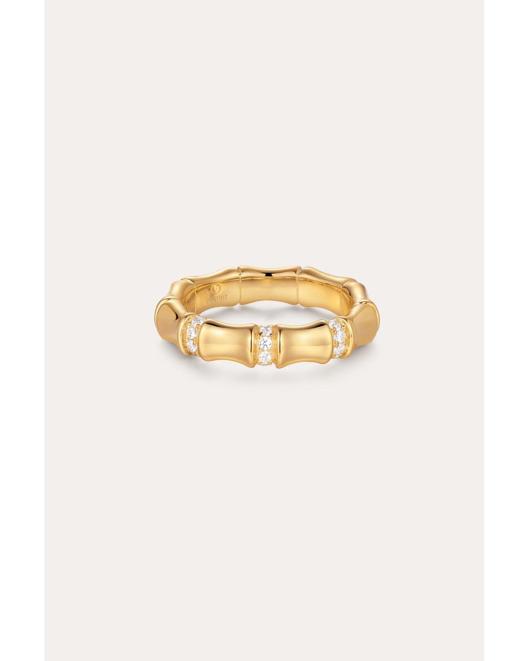 Vanhi Metallic Bamboo Chunky Crystal Ring