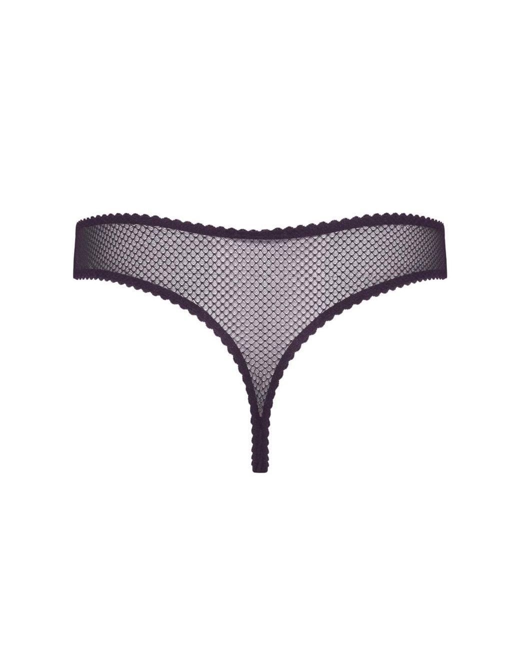 Daily Underwear Purple String Panties Plum