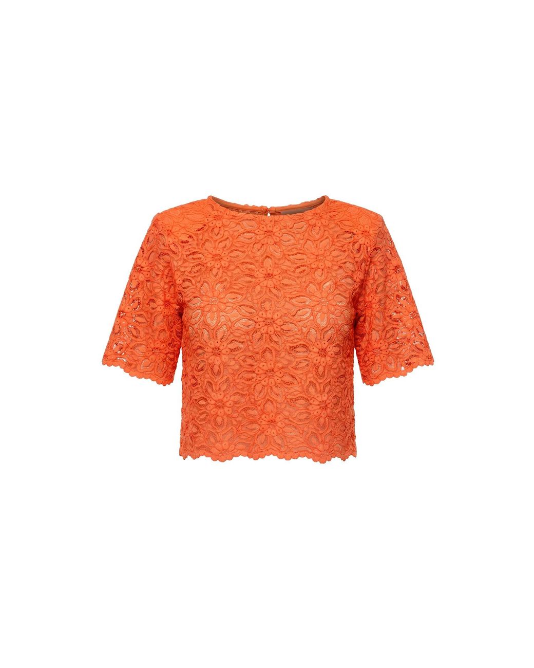 AGGI by HALEWSKI Orange Fibi Sun Lace Top Blouse