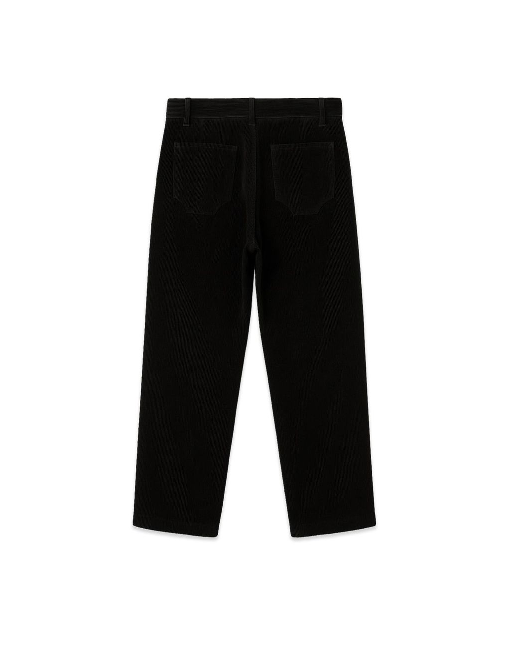 Éclectique Black Pleated Corduroy Trousers for men