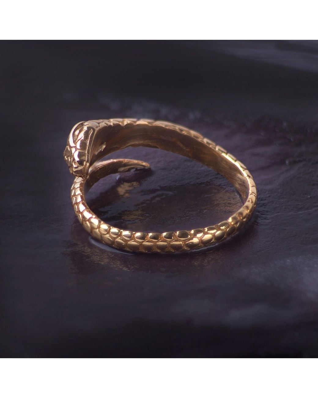 The Jewellery Store London Metallic Adjustable Snake Ring
