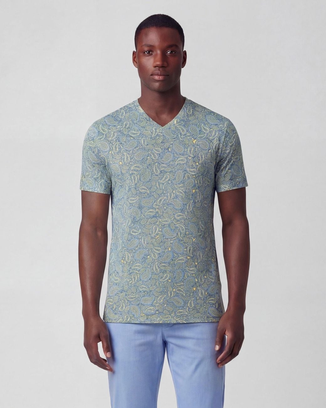 Lords of Harlech Gray Maze Paisley Pile Sunshine Vneck Tee for men