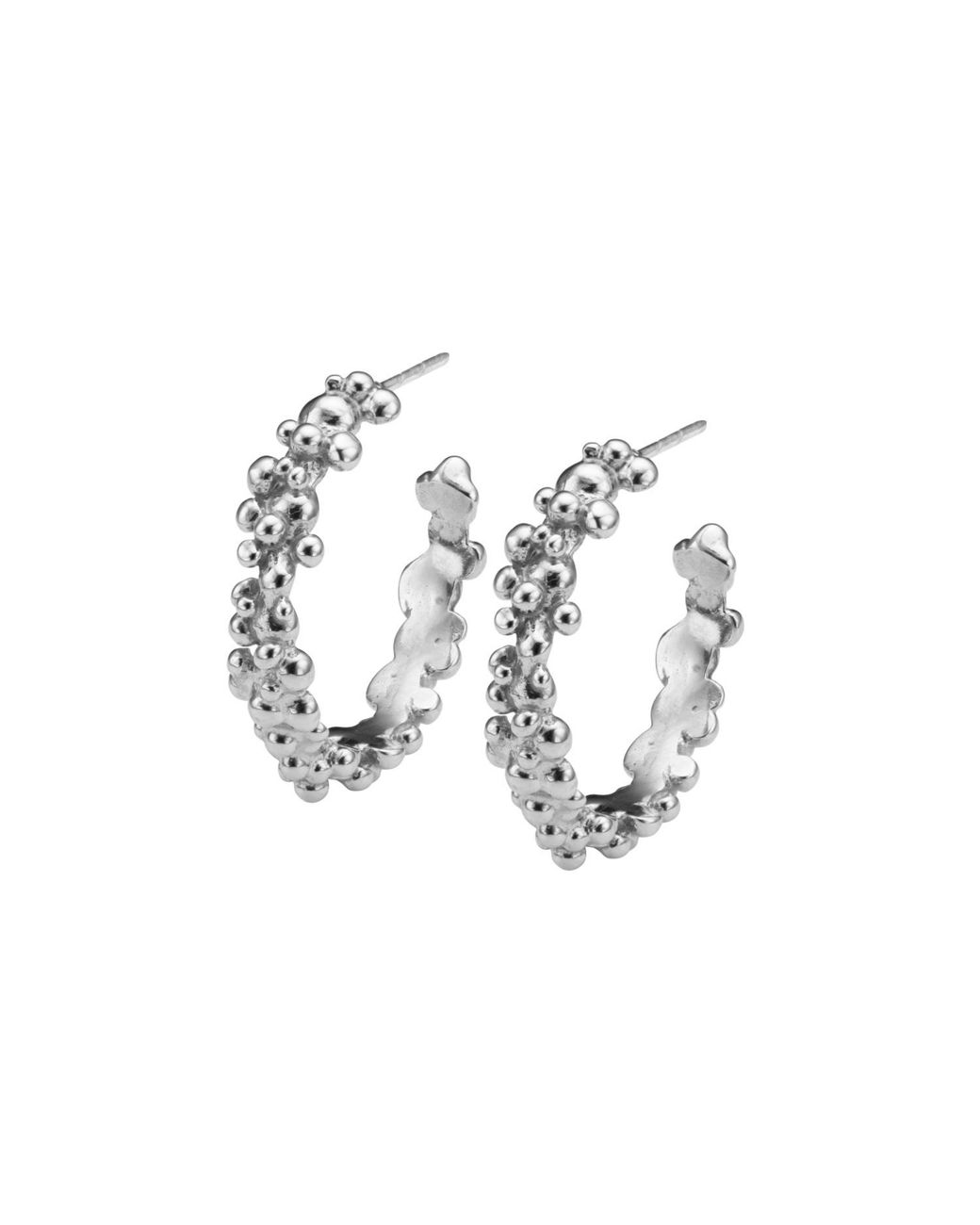 EVA REMENYI Metallic Céleste Deux Hoop Earrings