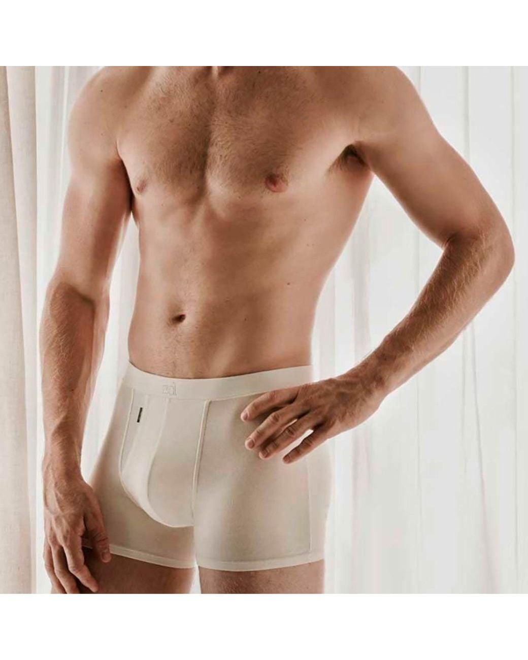 Zd - Zero Defects Gray Neutrals Heracles Fly Front Boxer – Maximum Softness For Sensitive Skin for men