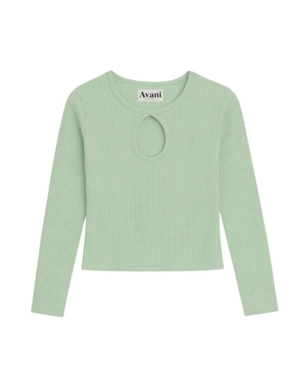 AVANI Apparel Green Mehonia Top