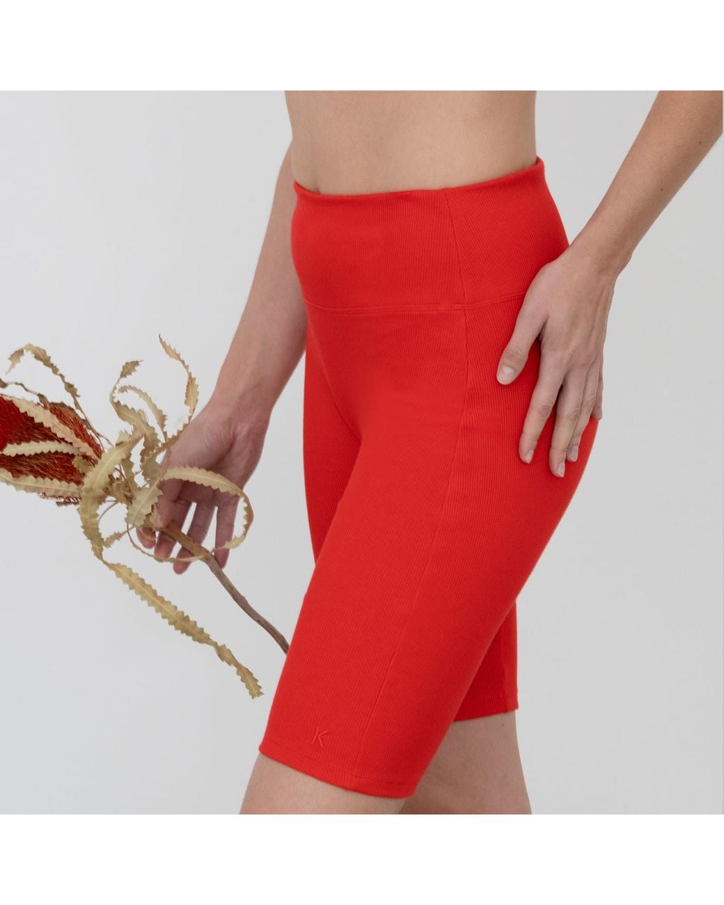 The Koozy Red Charlotte High Waist Shorts