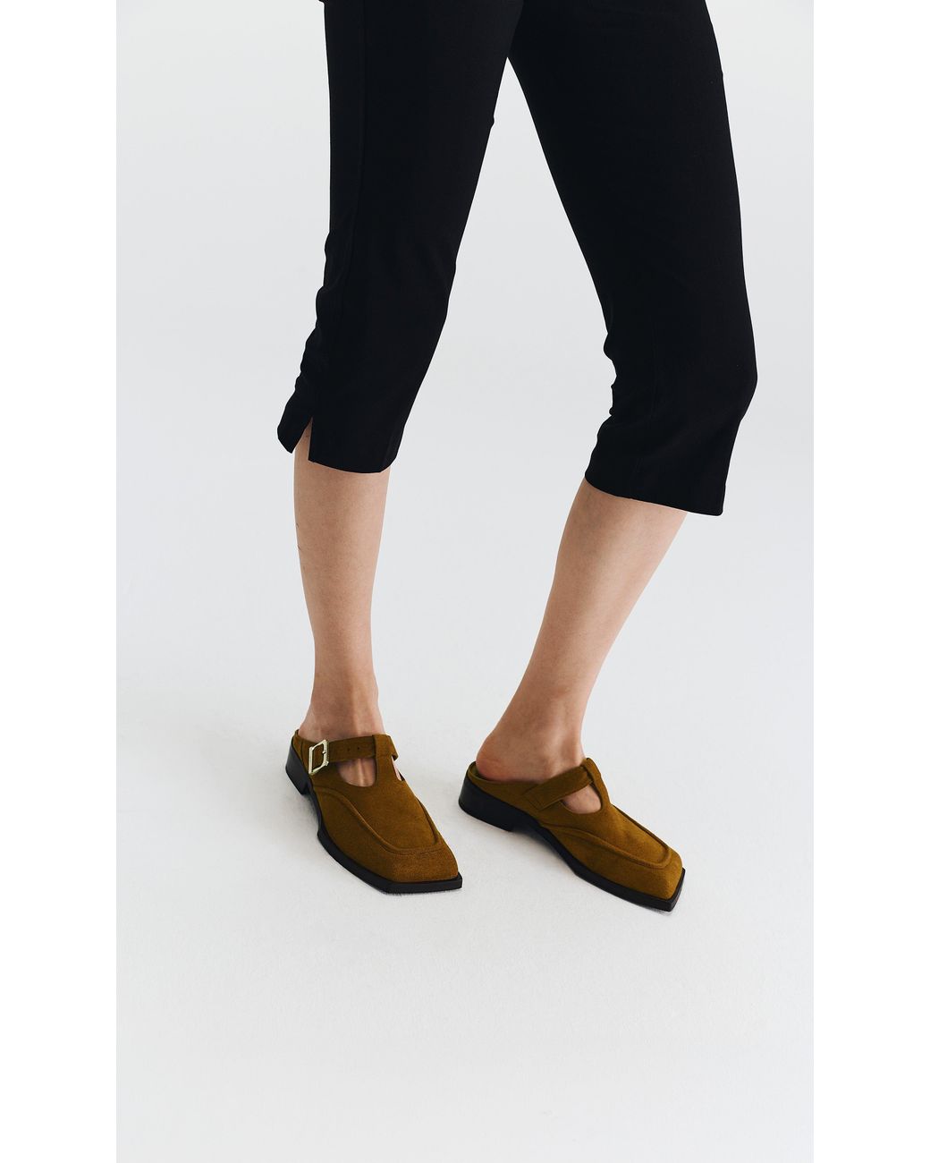 PREVU Brown Lou