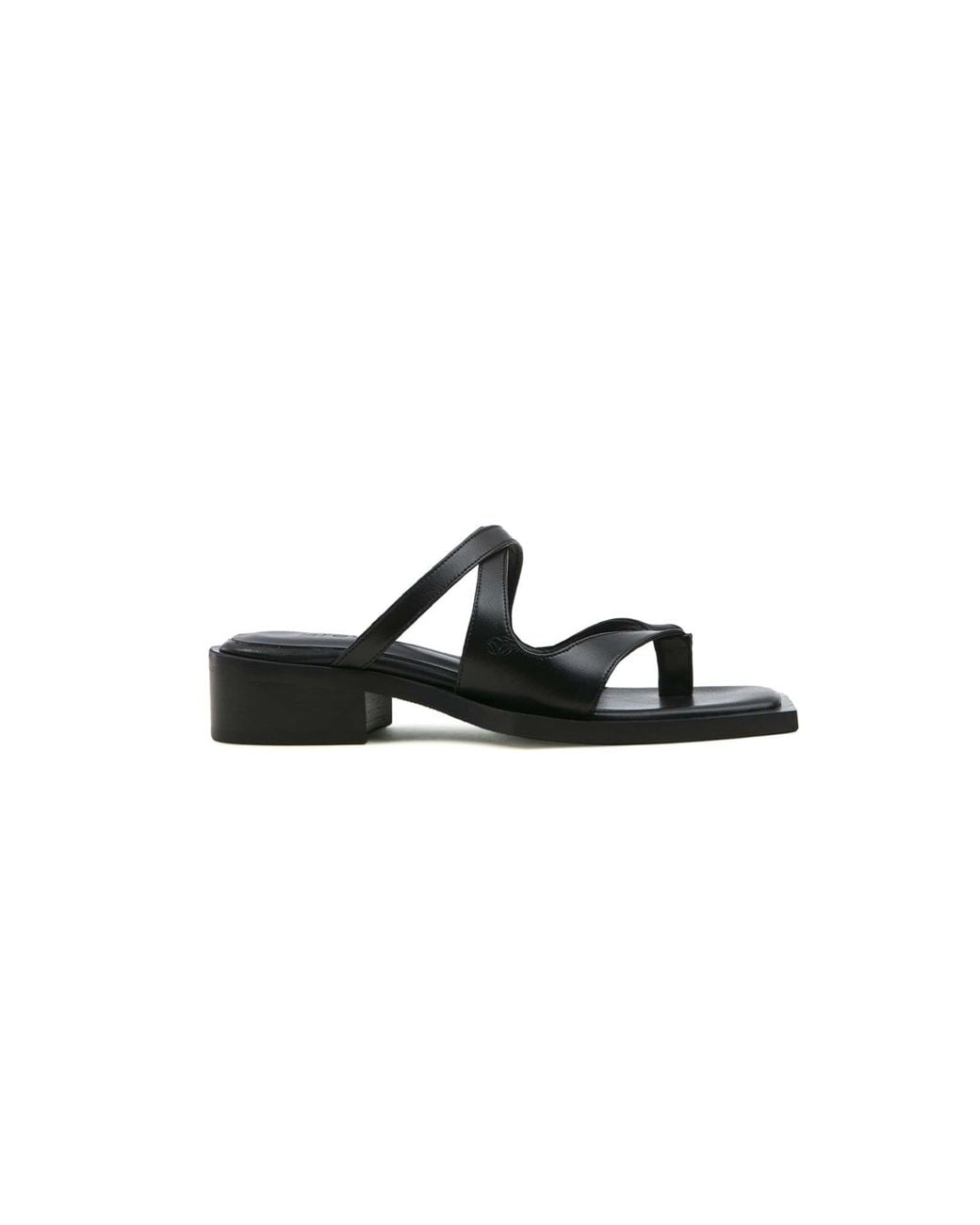 PREVU Black Karel Mule