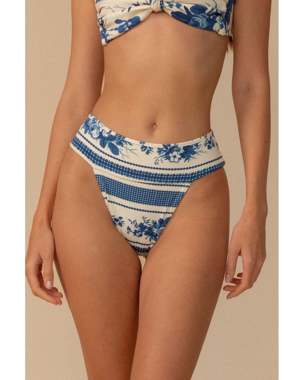 Montce Blue Toile Stripe Tamarindo Bikini Bottom