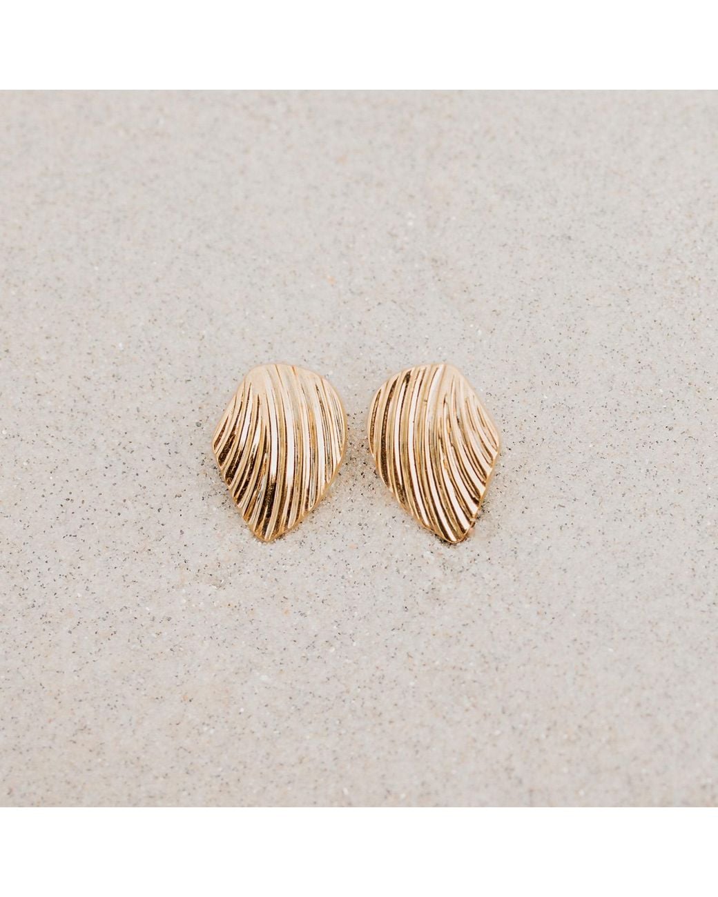 Augustine Jewels Metallic Shell Stud Earrings
