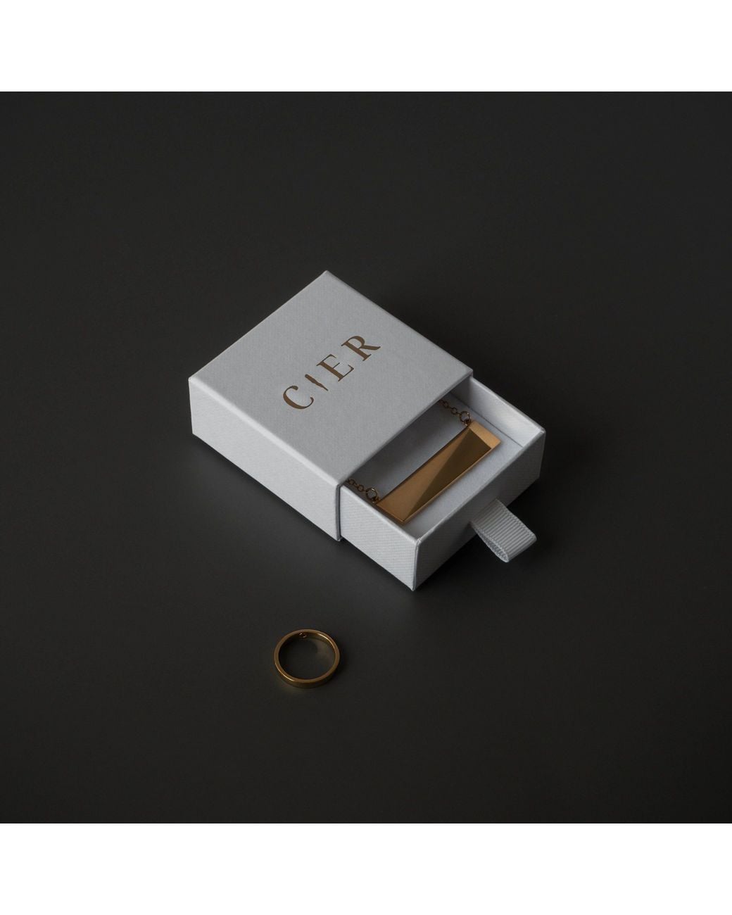 Cier Metallic Large Flex Necklace