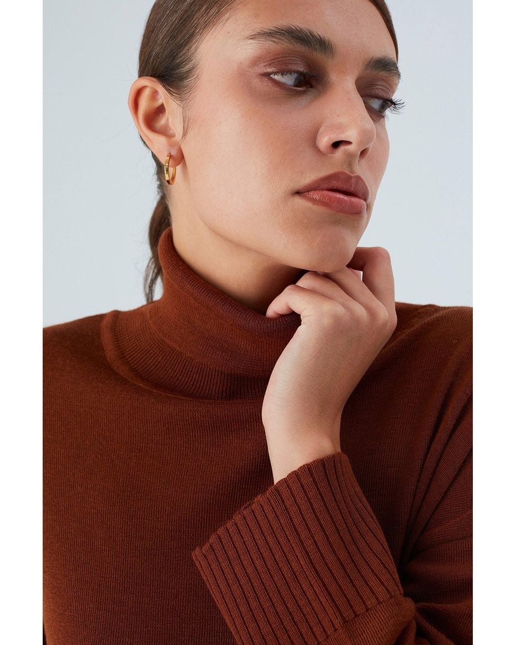 Peraluna Brown Wide Roll Neck Knitwear Pullover