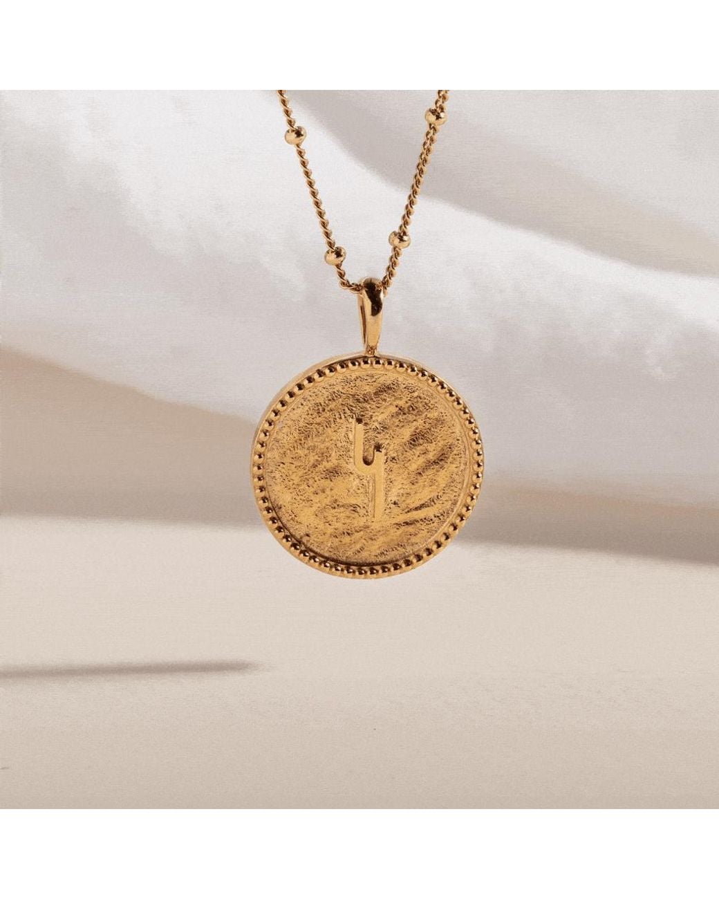 Claire Hill Designs Metallic Hope Coin Shorthand Necklace