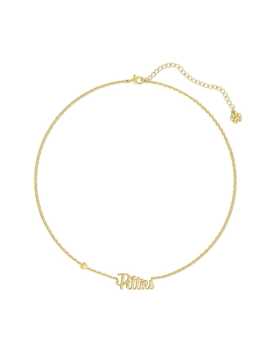 Cloud Haven Metallic A Pittie's Love Necklace