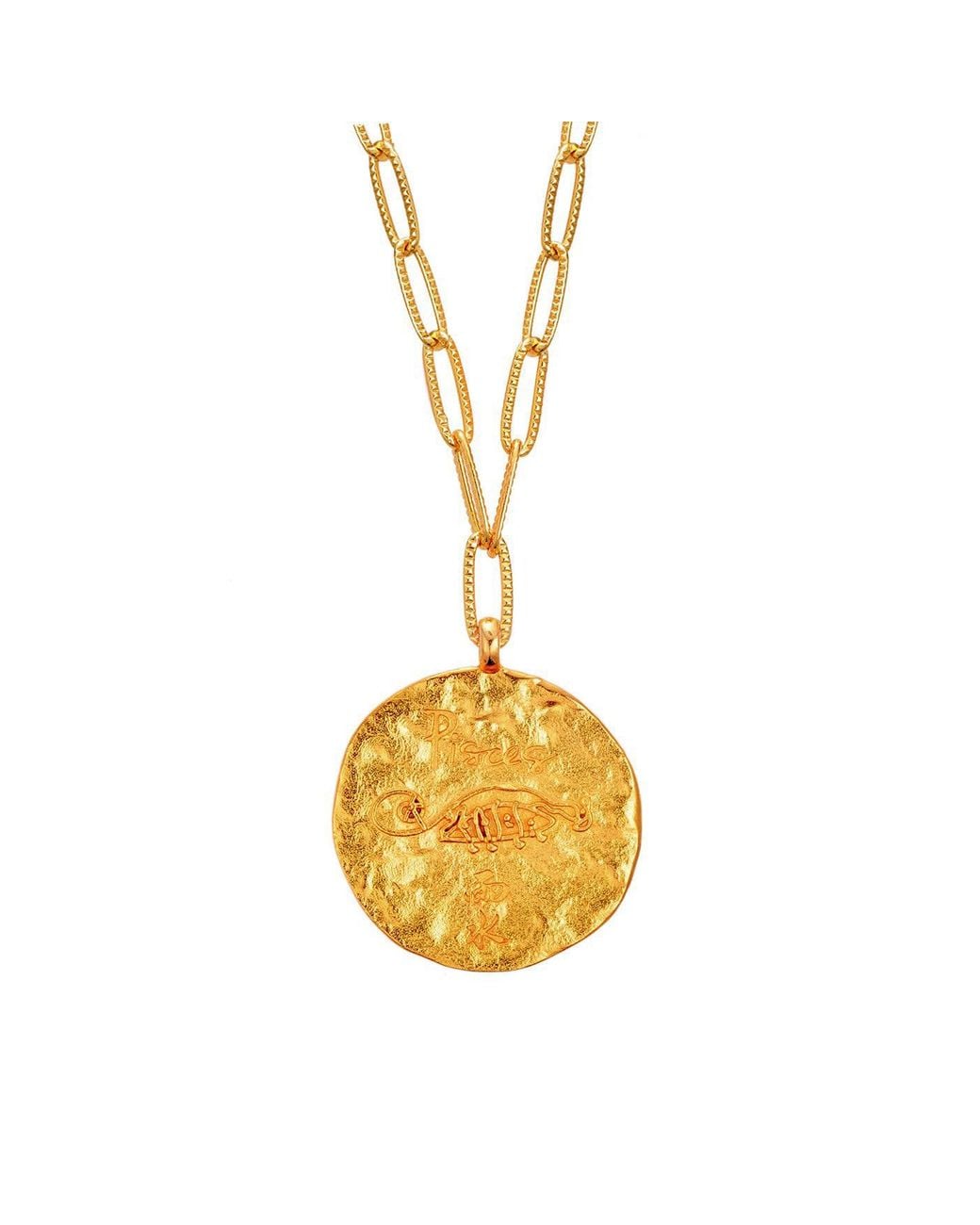 Aurozia Metallic Constellations Pisces Double-Sided Coin Necklace