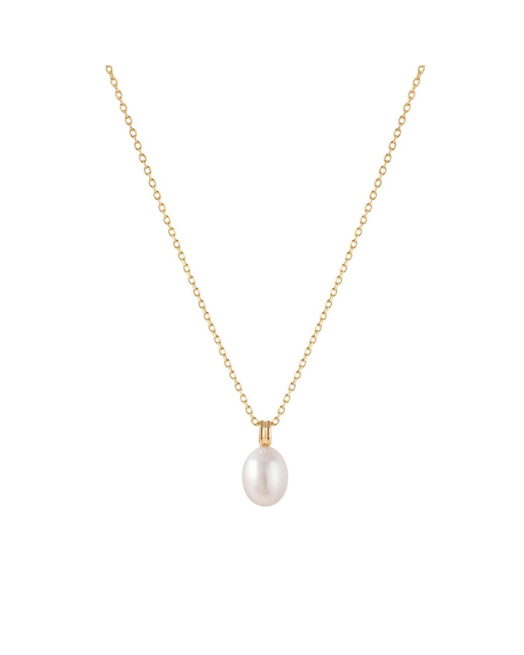 Vanhi Metallic Freshwater Pearl Necklace