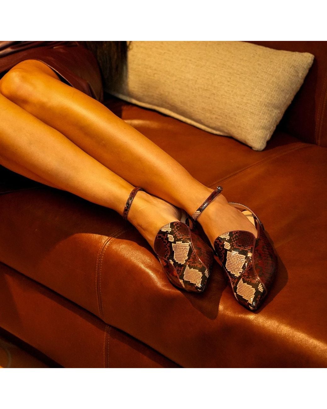 Alterre Brown Burgundy Python Marilyn Pointed Loafer