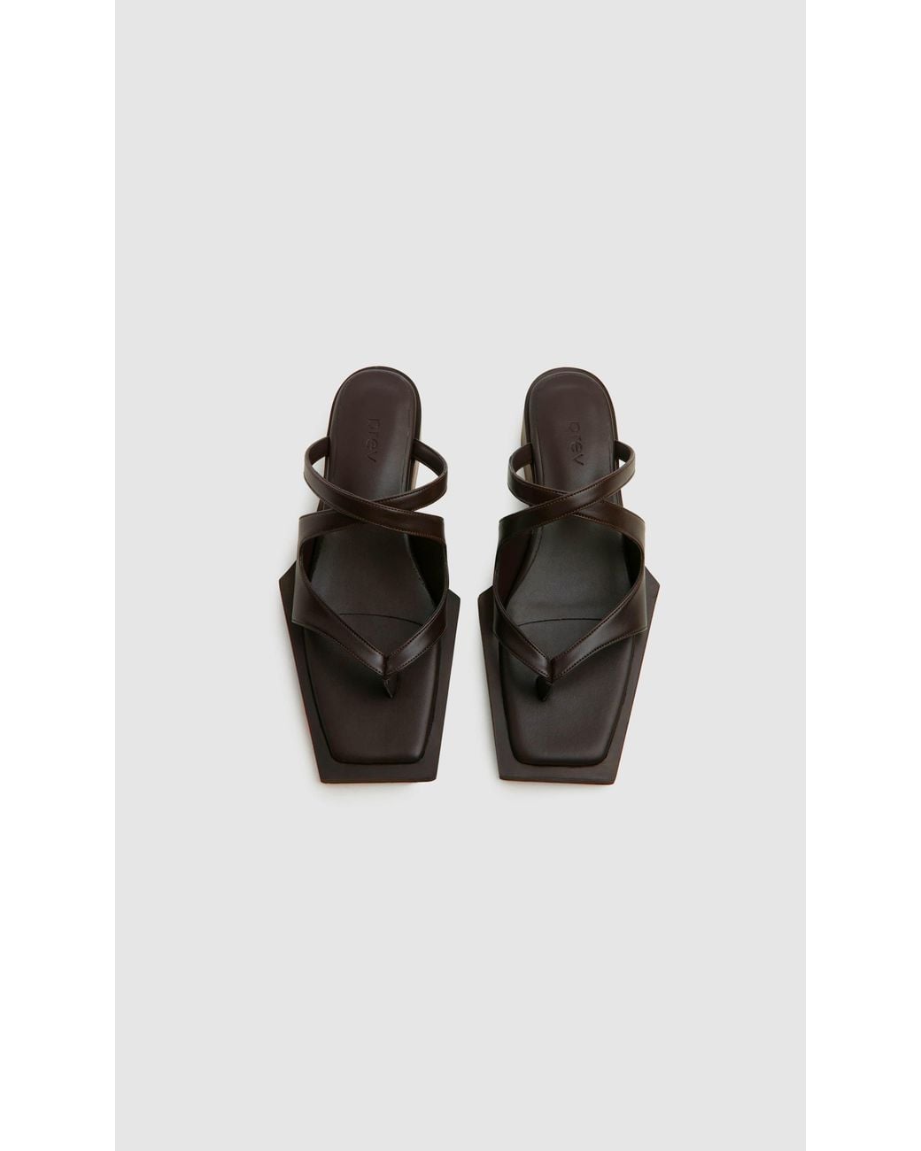 PREVU Black Karel Mule