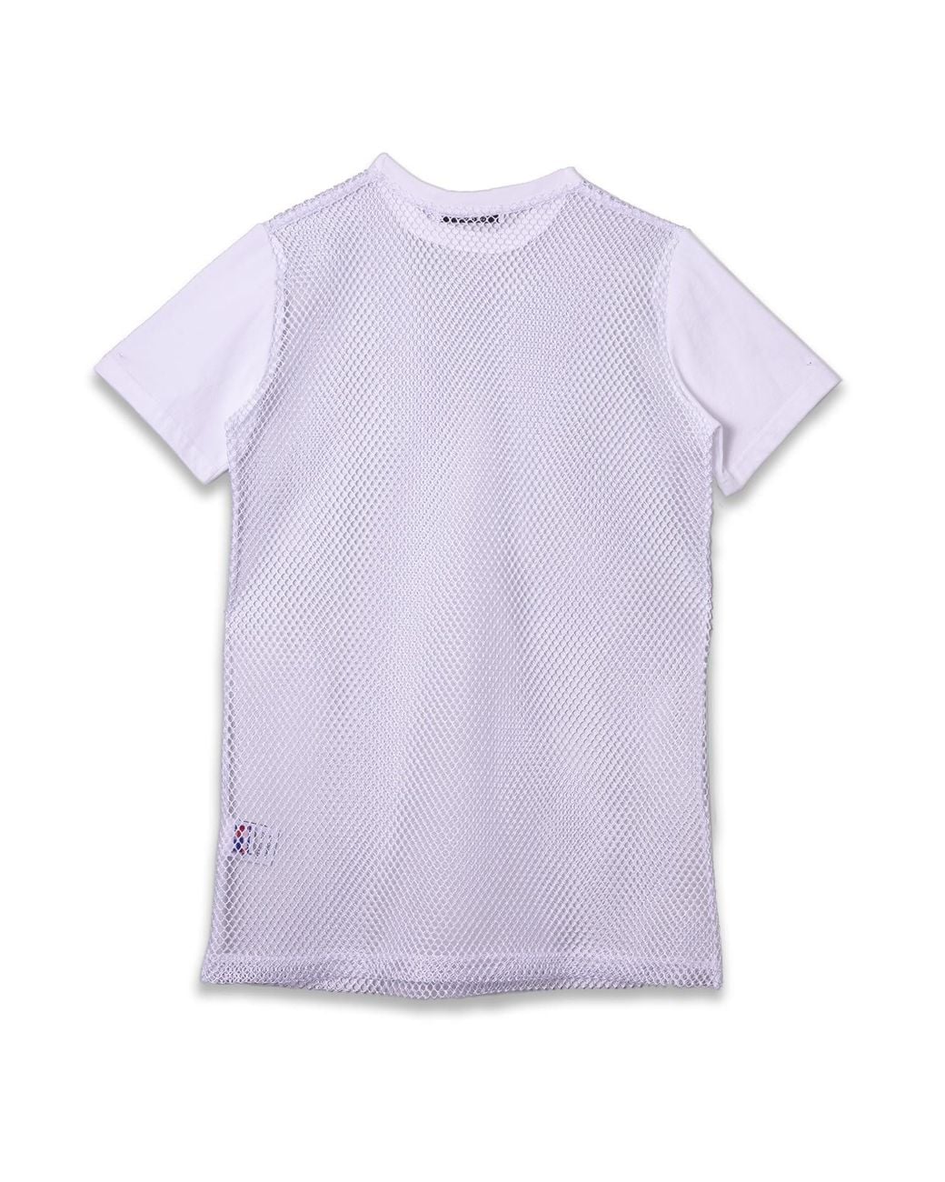 Bradford Row Purple Ivy Mesh Dress –